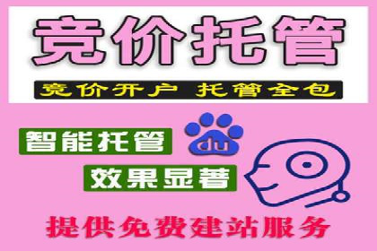 百度推广案例：低成本高回报的精准营销策略