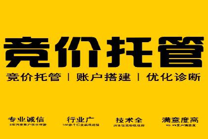 成功案例：一家企业如何通过百度关键词推广实现业绩翻倍